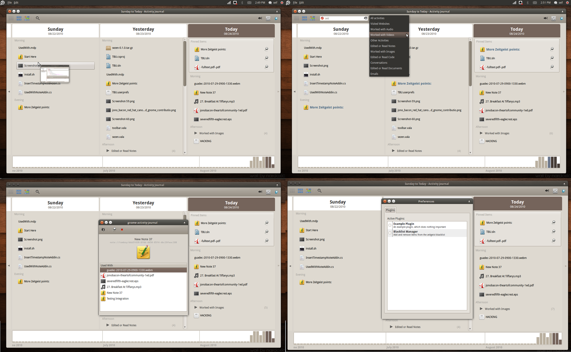 Columns View of GNOME Activity Journal